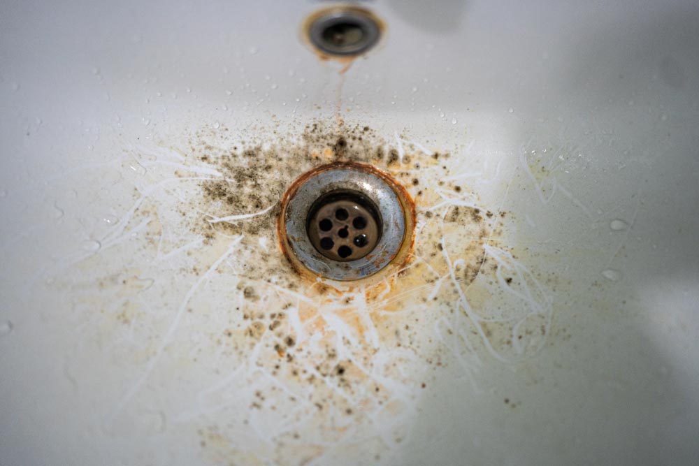 mold and mildew clogged drain Catalina Foothills, AZ